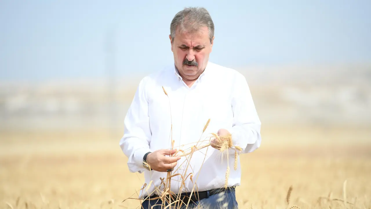 GENEL BAŞKANIMIZ SAYIN MUSTAFA DESTİCİ ESKİŞEHİR’DE ÇİFTÇİLERİMİZLE BUĞDAY HASADI GERÇEKLEŞTİRDİ