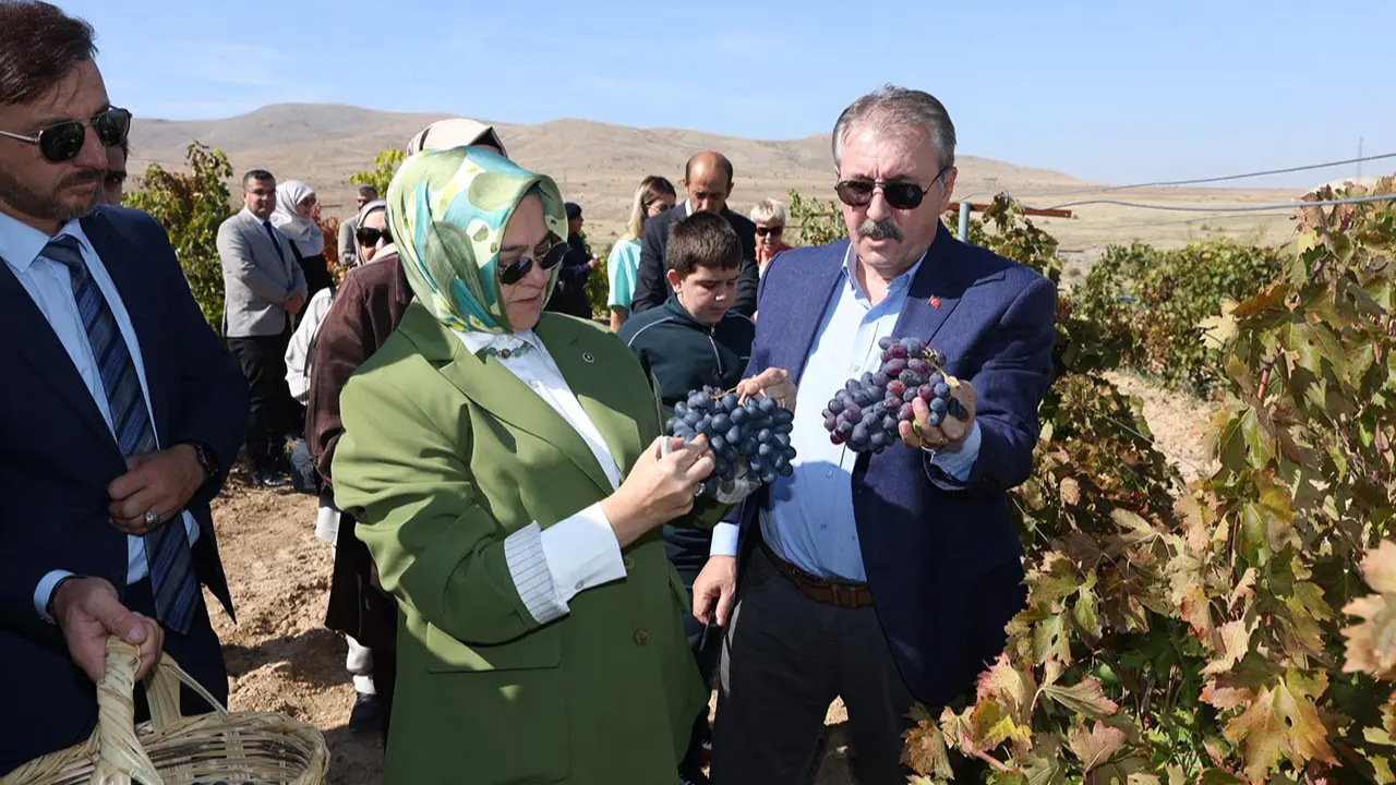Sayın Destici, Gecek'te düzenlenen bağ bozumu etkinliğinde